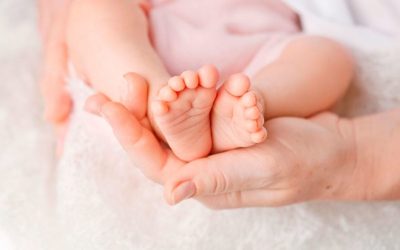 Reproducción asistida y Derecho Familiar